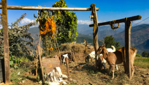 Rural Village in Nepal