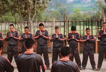 Volunteer at a Rehabilitation Center